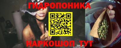 индика Тверь