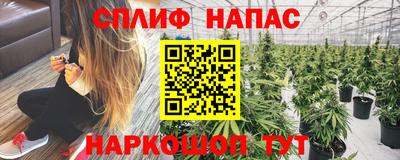 индика Тверь