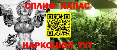 индика Тверь